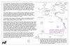 coo0c13 1756_thumb.gif
